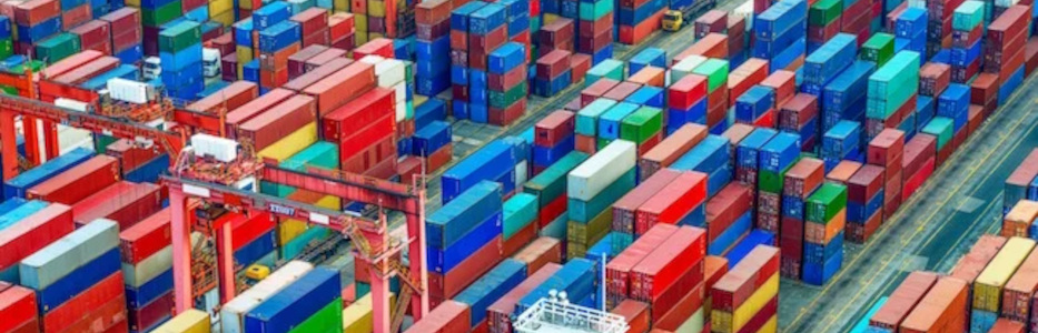 Not-for-Profit opens shipping container housing for homeless seniors