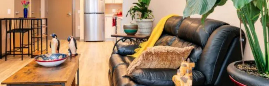 New affordable one bedroom seniors apartments now open