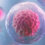 Stem cell hope emerges for disease of brain