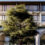Best retirement housing design for Global Awards shortlisted